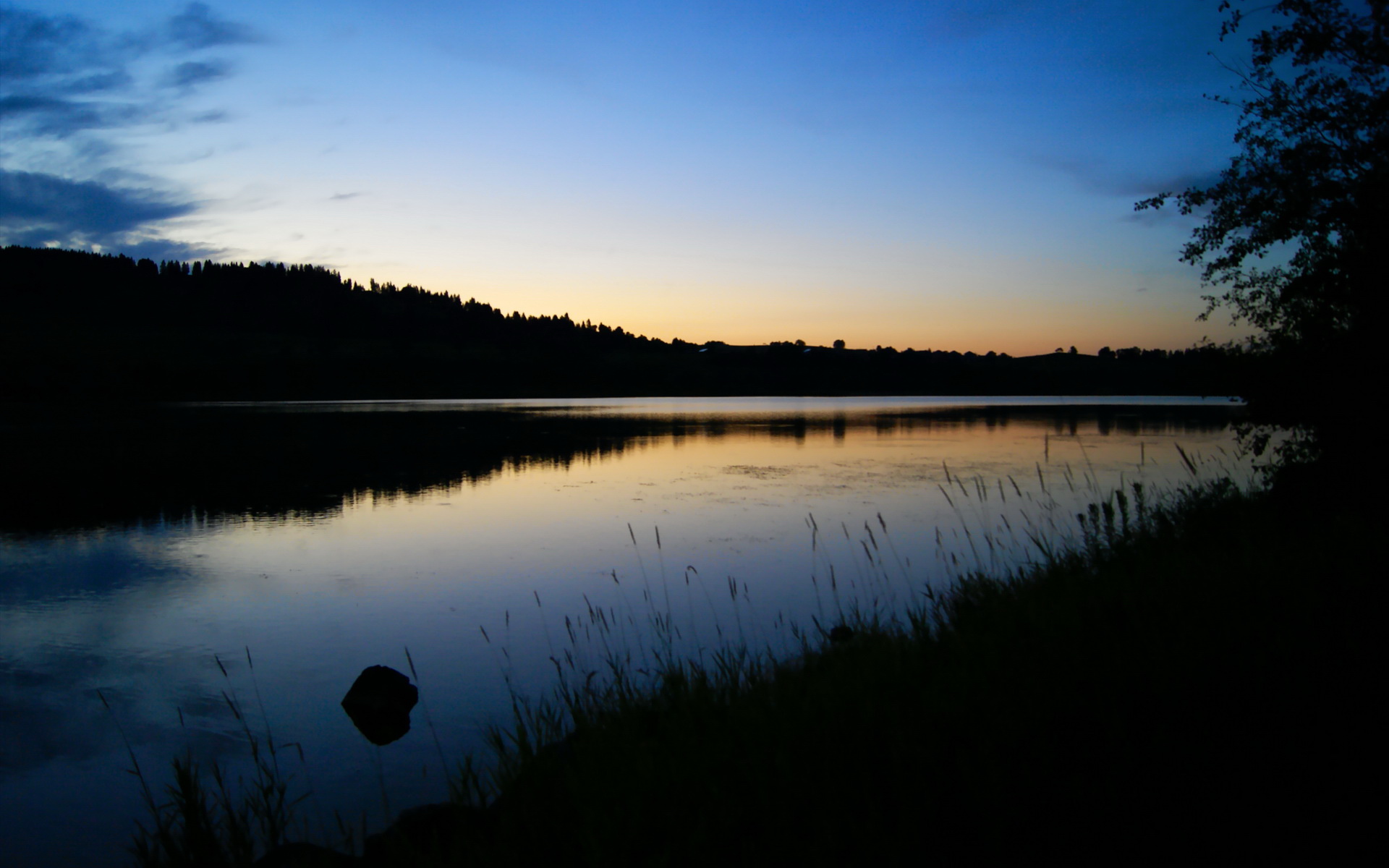 今年NBA季后赛最大黑马是哪个球队？，今年nba季后赛的球队